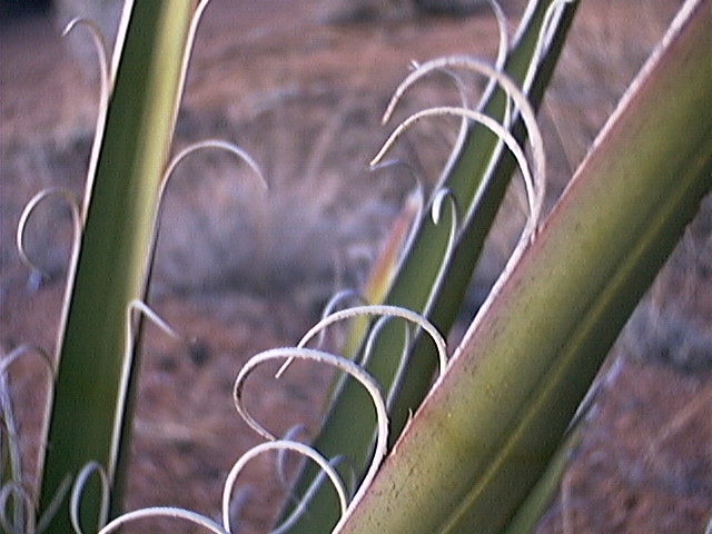 March