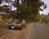 Foothills