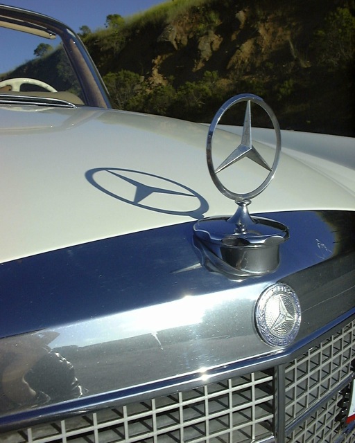 Hood Ornaments
