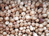 Vegetables