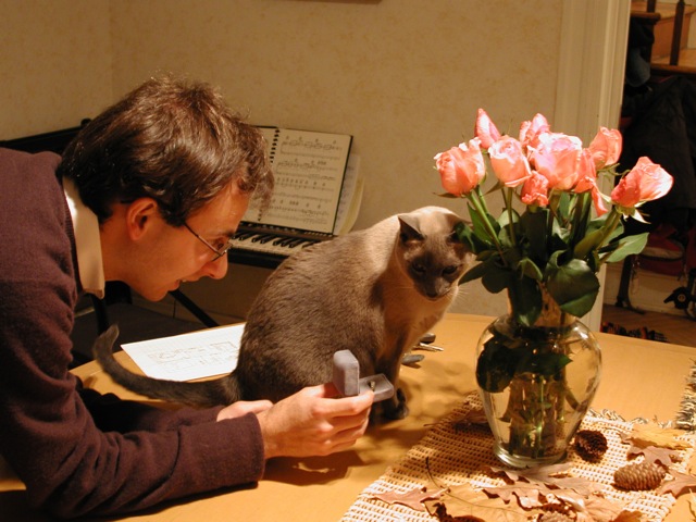 Mammals