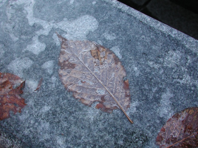Stone