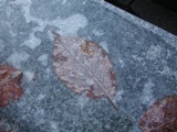 Stone