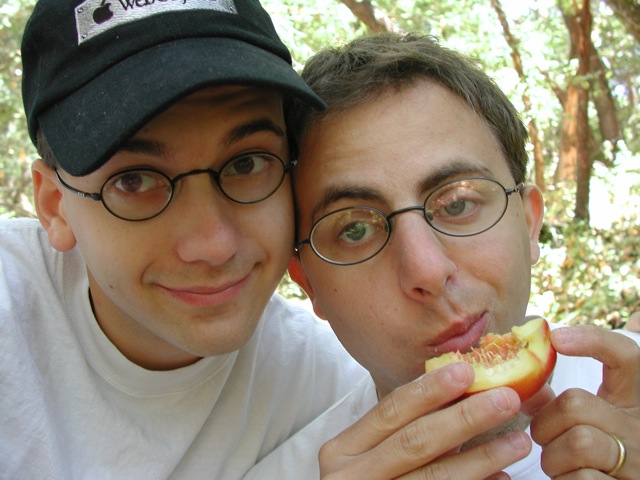 Picnics