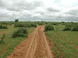 Dirt Roads