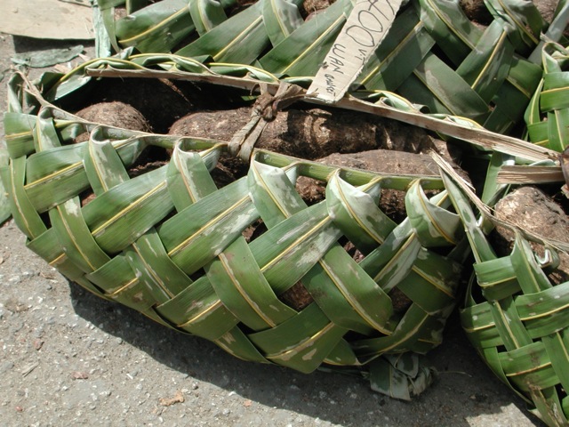 Efate