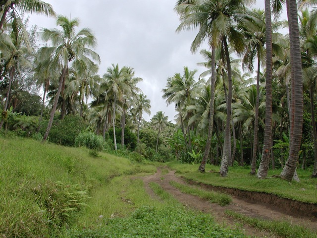 Dirt Roads