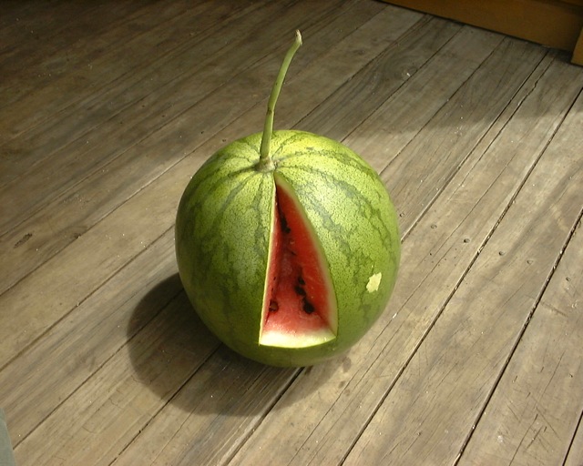 09