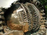 Sculpture