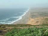 Marin