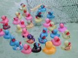 Ducks