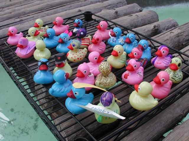 Ducks