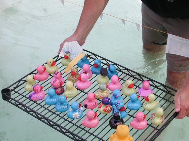 Ducks