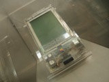 Newton