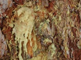 2003