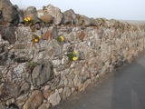 Walls