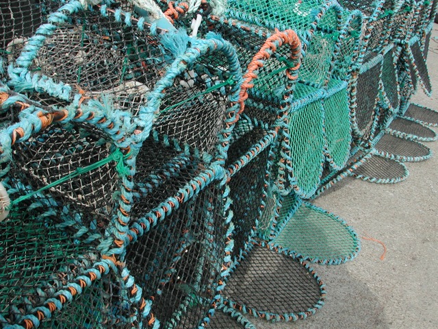 Nets