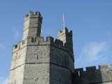 26