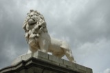 Lions