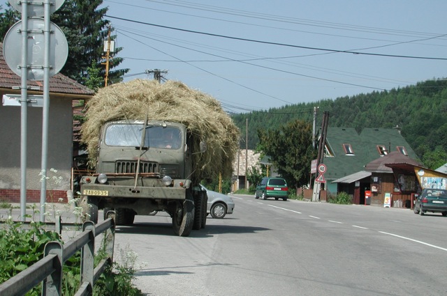 Hay