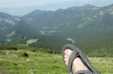 Feet