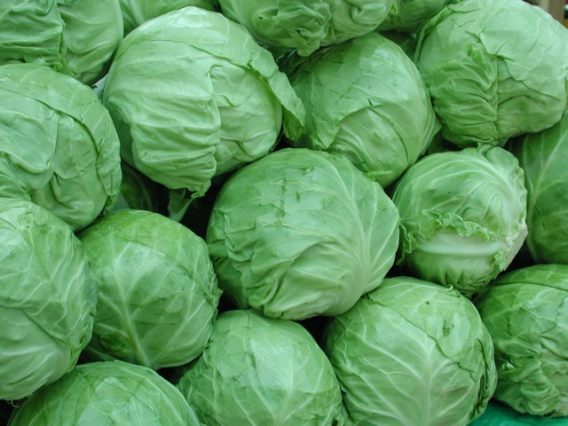 Cabbage