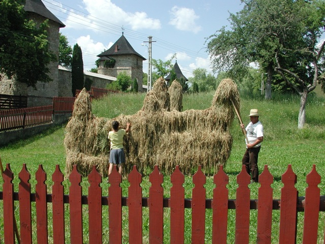 Moldoviţa