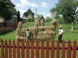 Moldoviţa