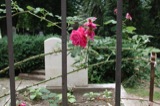 Graveyards
