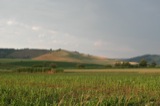 Sovata