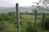 Fences