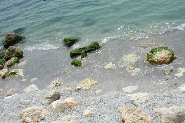 Constanta