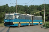 Sofia