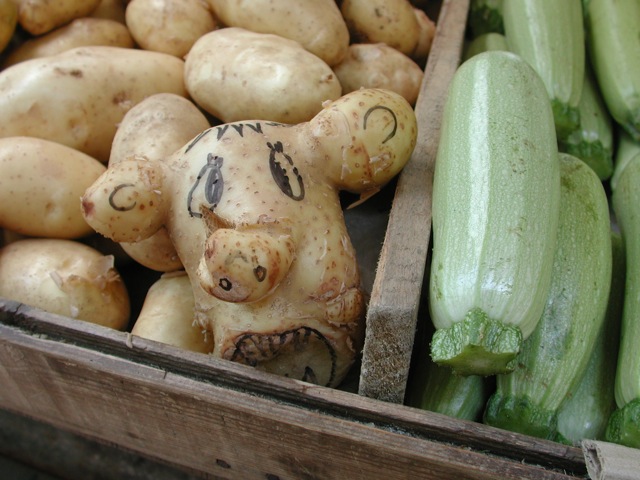 Zucchini
