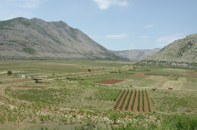 Plains