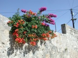 Croatia