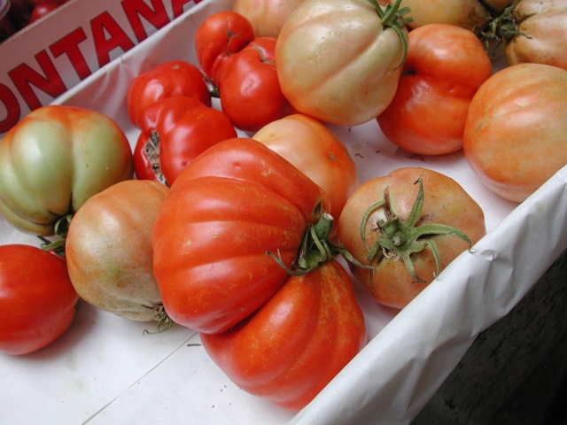 Tomatoes