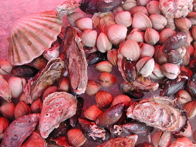 Clams