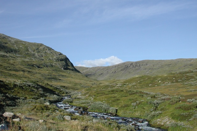 Sognefjord