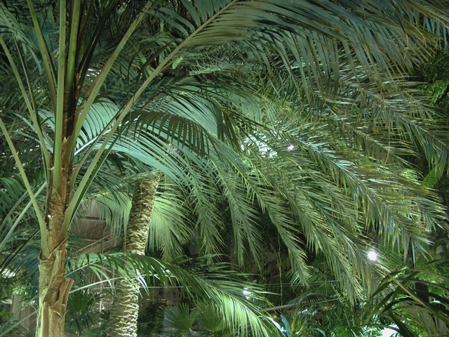 Barbican