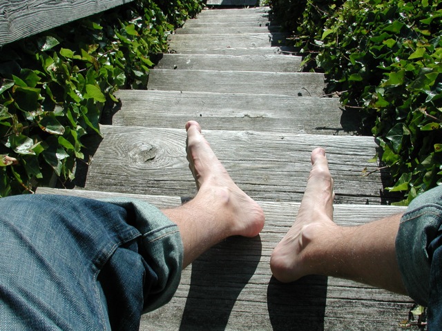 Feet