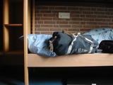 Beds