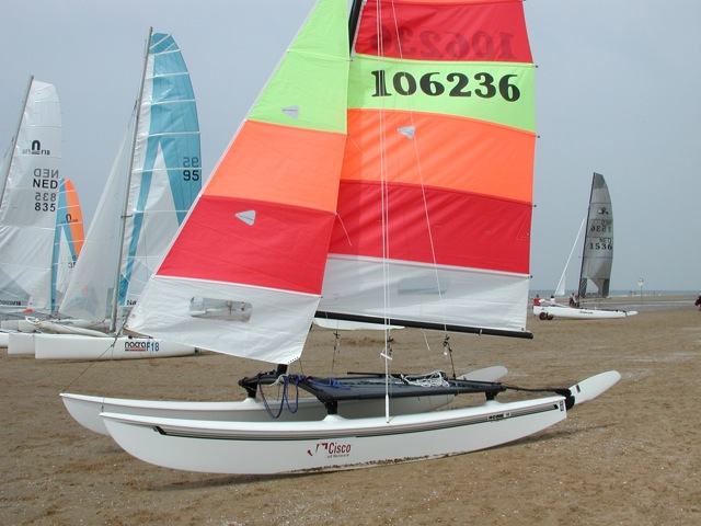 24