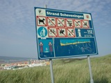 Coastline