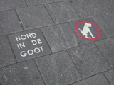 Dogs