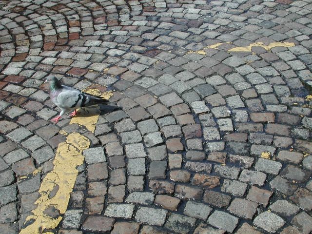 Pavement