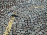 Pavement