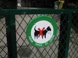 Dogs