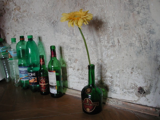 Evička's apartment