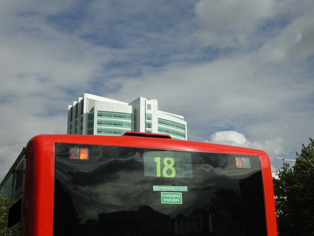Bendy Busses